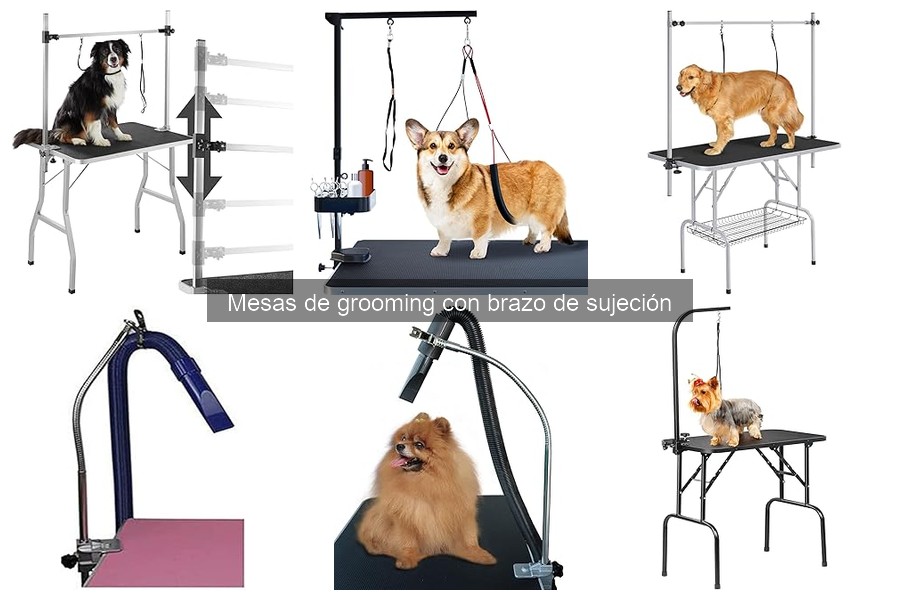 Opiniones sobre mesas de grooming con brazo de sujeción