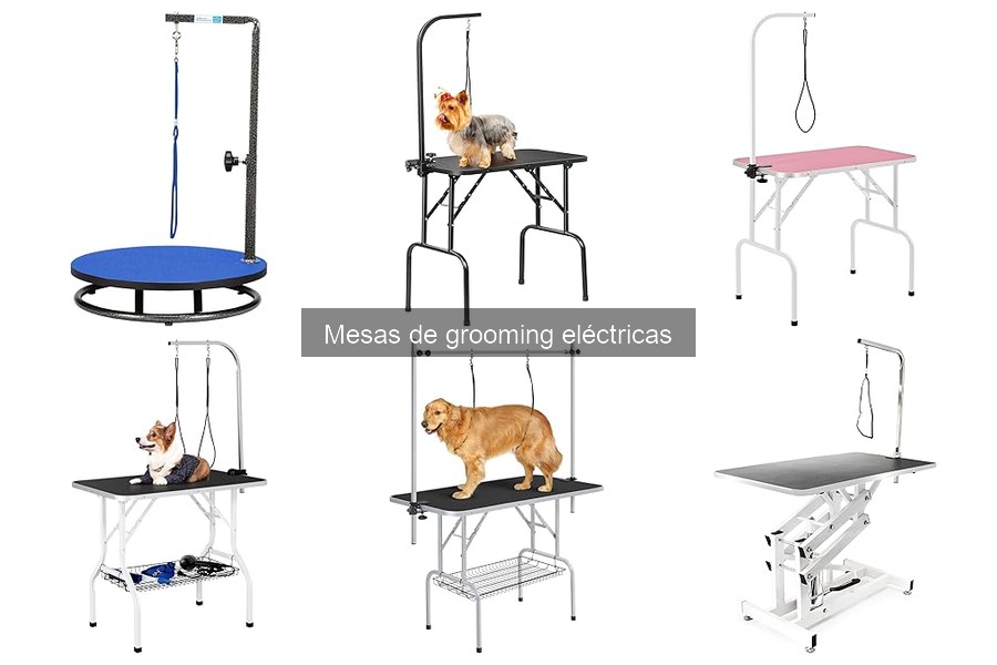 Opiniones sobre mesas de grooming eléctricas para mascotas