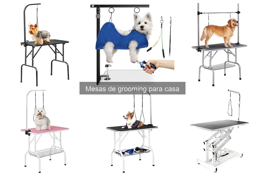 Opiniones sobre mesas de grooming para mascotas en casa