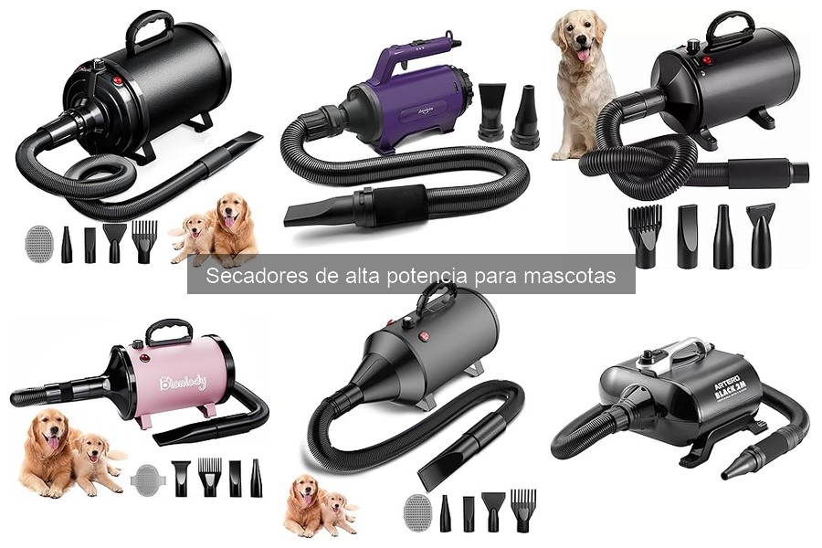 Opiniones sobre secadores de alta potencia para mascotas