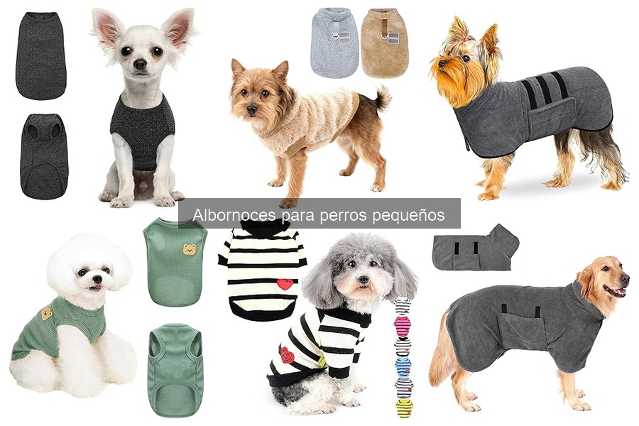 Personaliza el Albornoz de Tu Perro Pequeño con Estilo