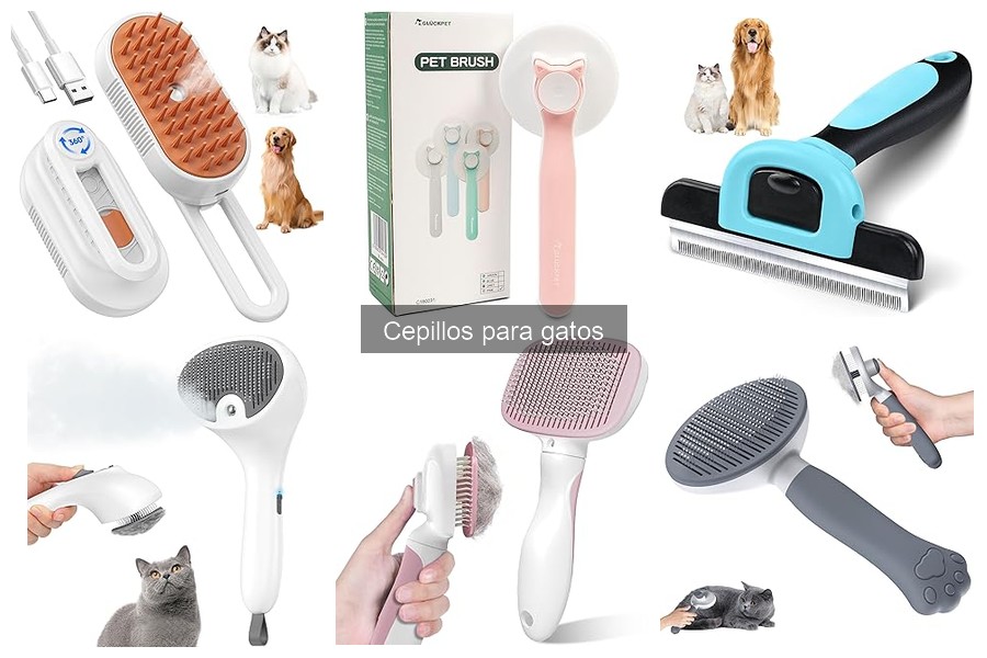 ¿Por qué mi gato odia ser cepillado? Consejos prácticos