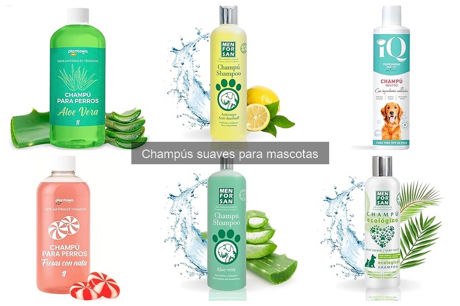 ¿Por qué usar champús suaves para mi mascota? Beneficios aquí