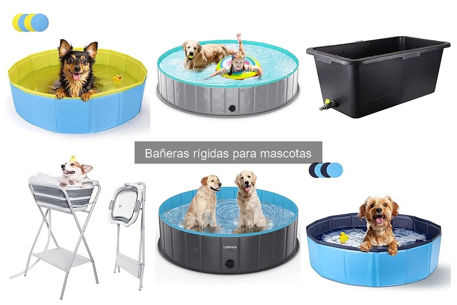 Precio y Dónde Comprar Bañeras Rígidas para Mascotas