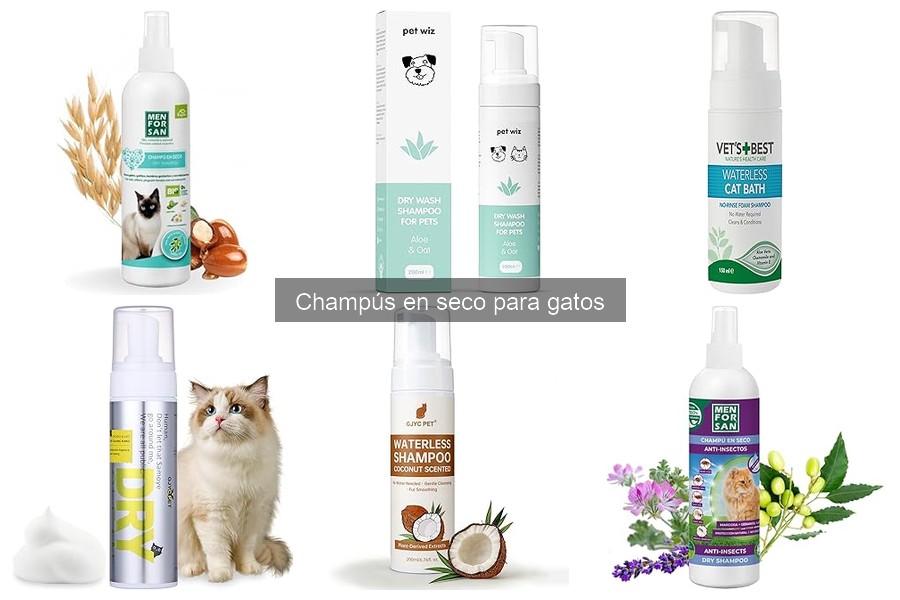 Precios de Champús en Seco para Gatos: Comparativa de Tiendas