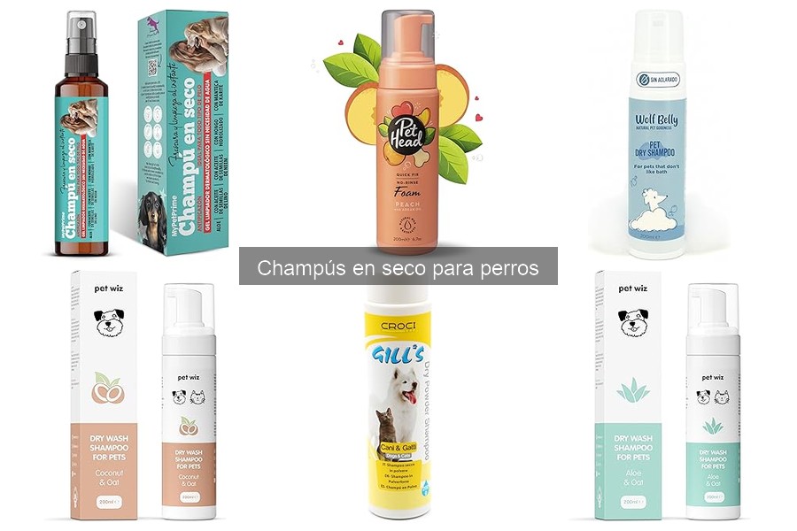 Precios de champús en seco para perros: Guía 2023