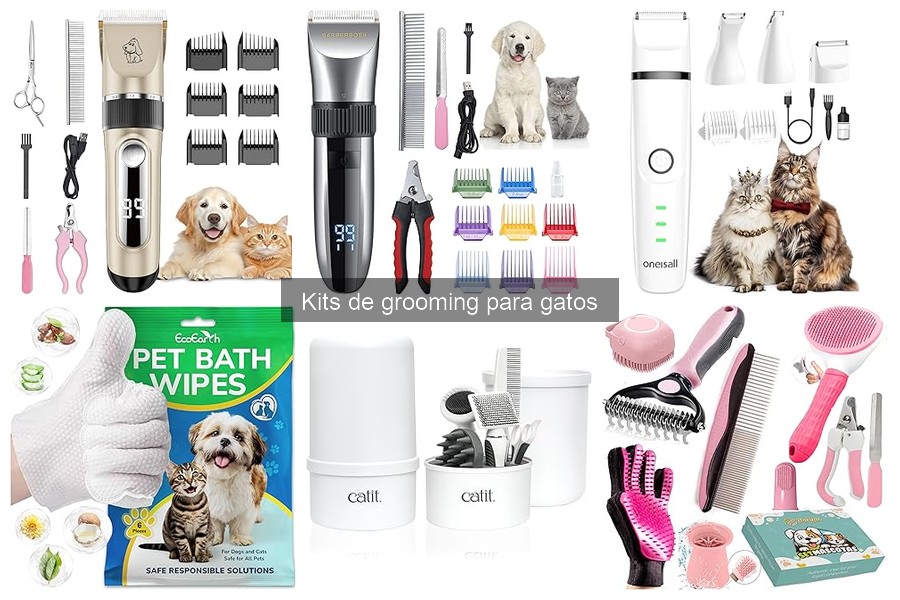 Precios de kits de grooming para gatos: guía actualizada 2023