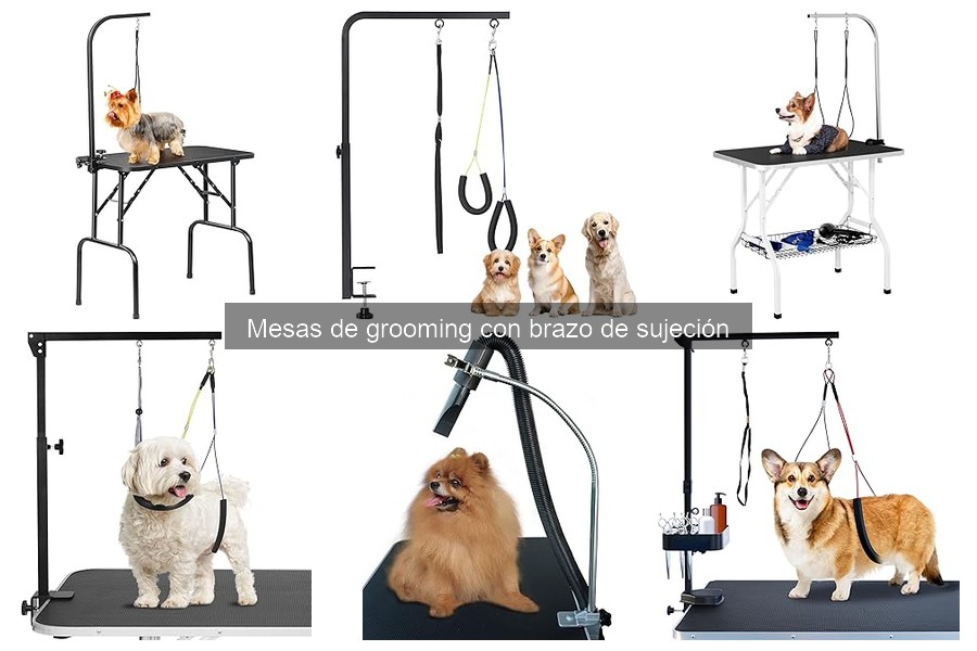 Precios de mesas de grooming con brazo de sujeción y dónde comprarlas