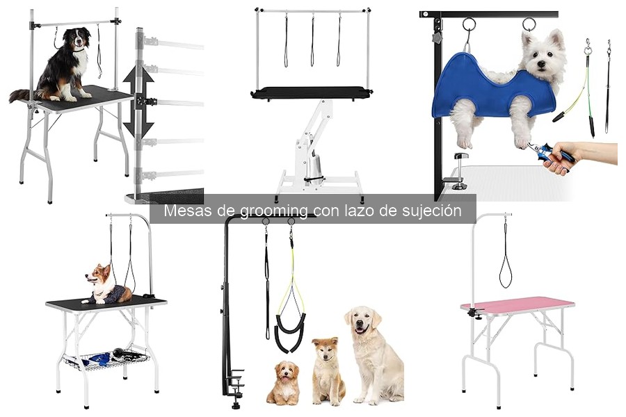 Precios de mesas de grooming con lazo de sujeción para mascotas