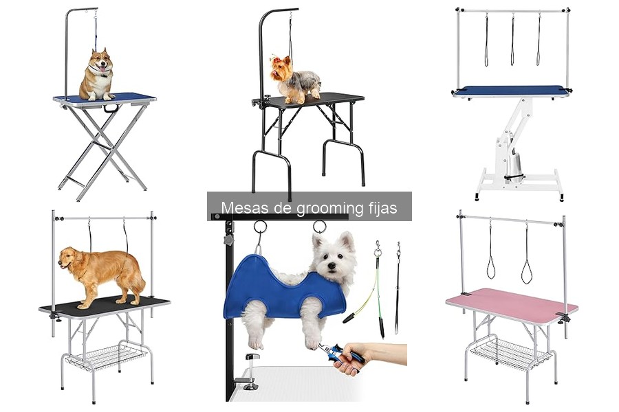 Precios de Mesas de Grooming Fijas en Amazon: Comparativa
