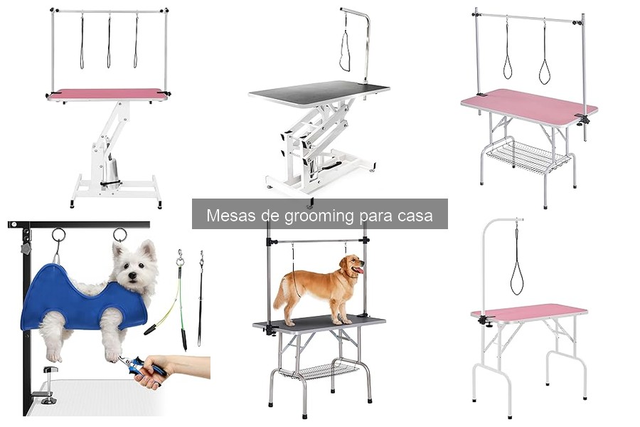 Precios de mesas de grooming para mascotas en casa