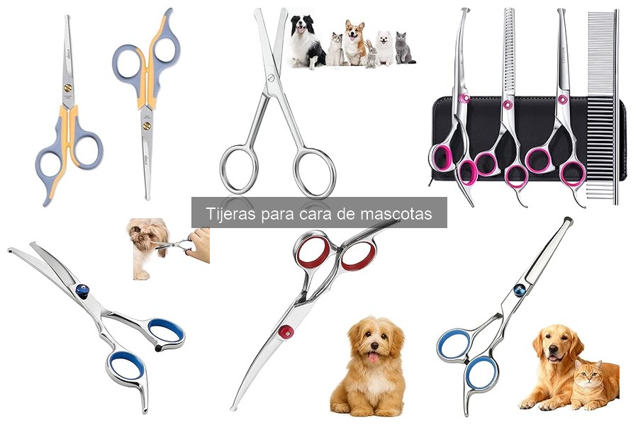 Precios de tijeras para cara de mascotas: Guía 2023