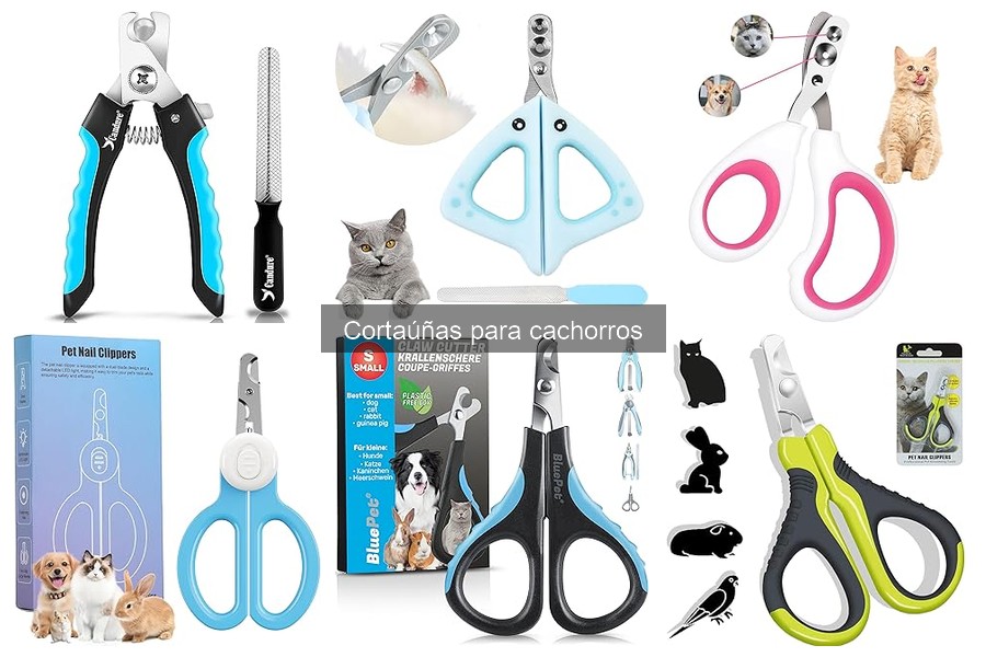 Prevén lesiones al usar cortaúñas para cachorros: consejos