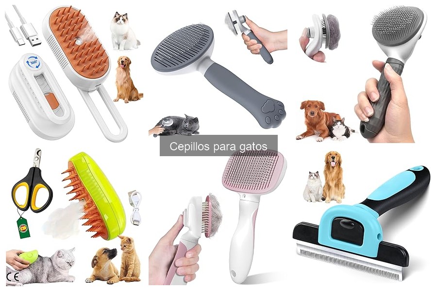 Problemas comunes al cepillar a tu gato: Soluciones efectivas
