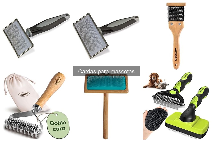 Problemas comunes al usar cardas para mascotas y soluciones