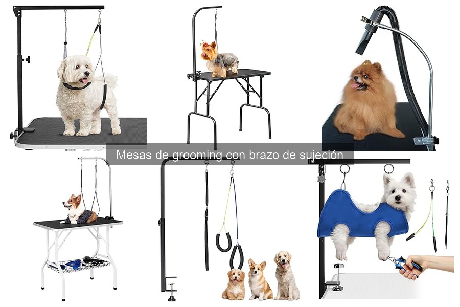 Problemas comunes al usar mesas de grooming con brazo de sujeción