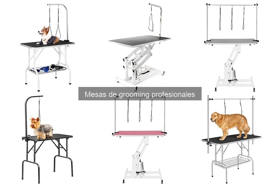 Problemas comunes al usar mesas de grooming y soluciones