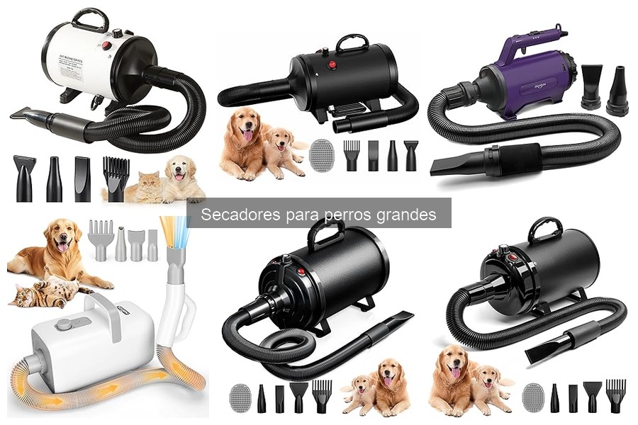 Problemas comunes al usar secadores para perros grandes y soluciones