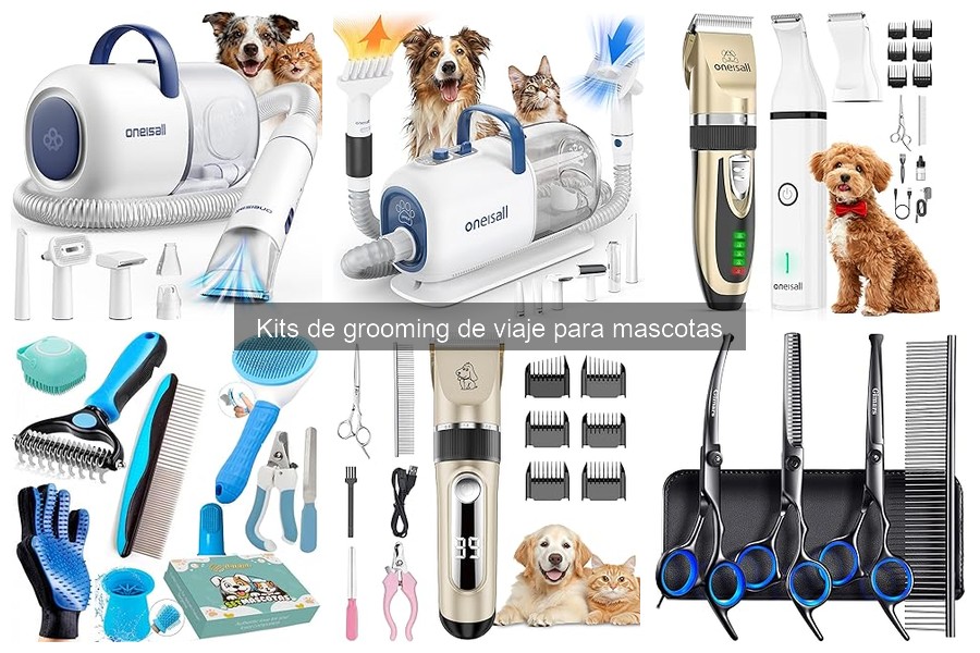 Problemas comunes con kits de grooming de viaje y soluciones