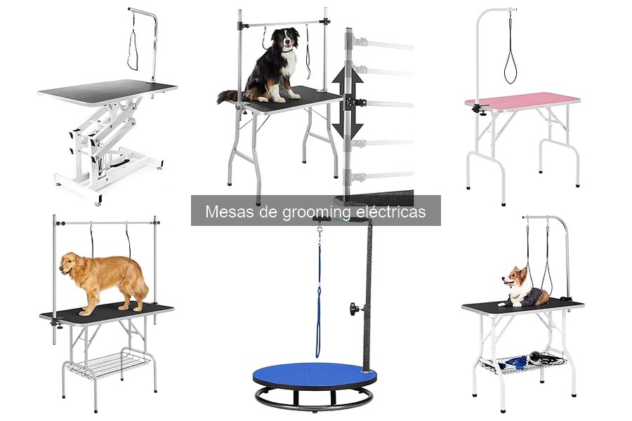 Problemas comunes con mesas de grooming eléctricas y soluciones