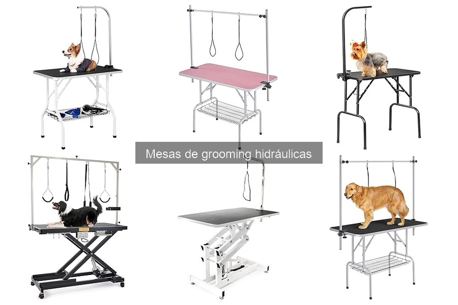 Problemas Comunes con Mesas de Grooming Hidráulicas
