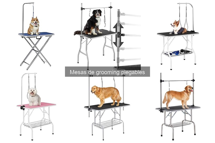 Problemas comunes con mesas de grooming plegables y soluciones