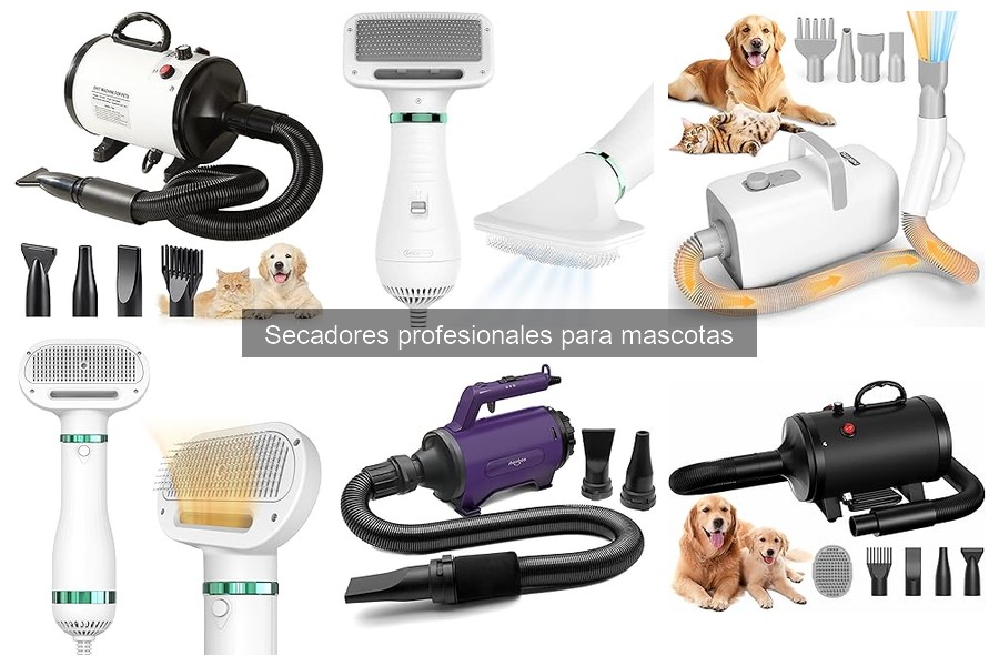 Problemas comunes con secadores profesionales para mascotas