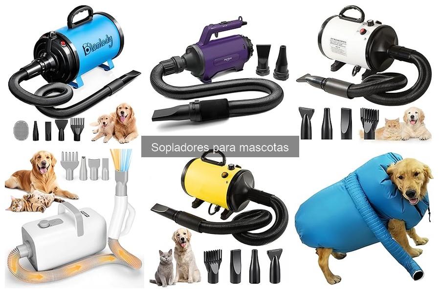 Problemas Comunes con Sopladores para Mascotas y Soluciones