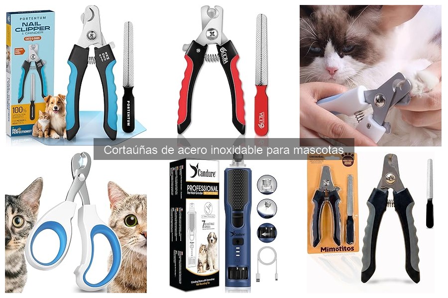 ¿Qué buscar en un cortaúñas de acero inoxidable para mascotas?