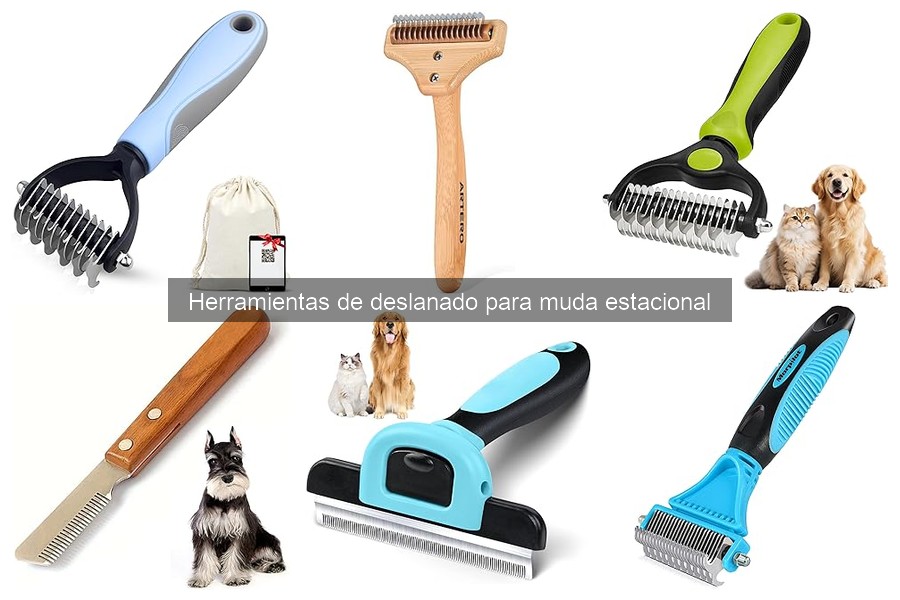 ¿Qué es el deslanado de mascotas y por qué es importante?