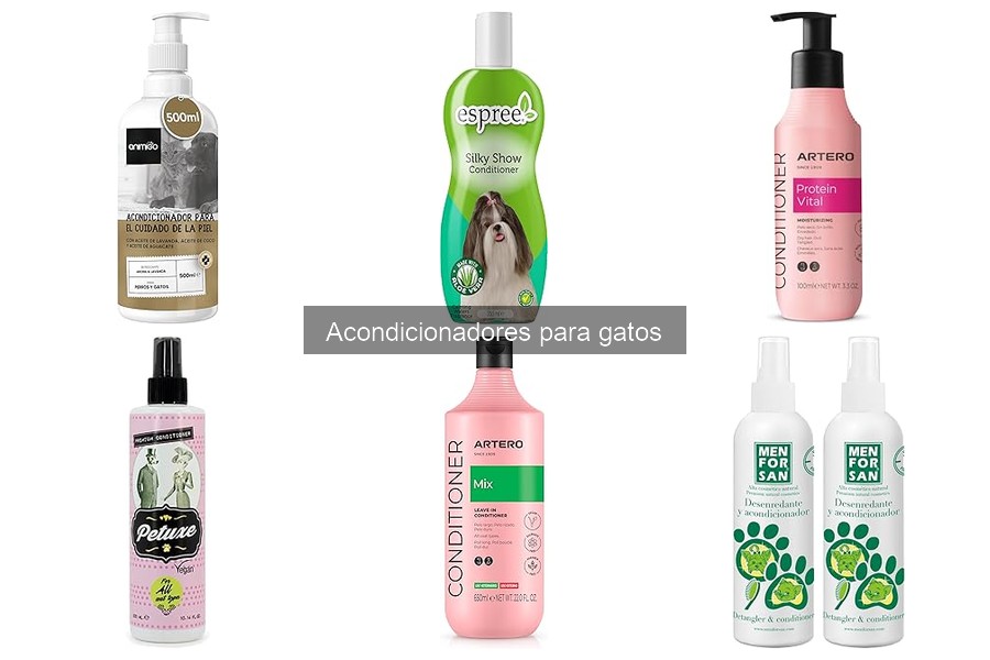 ¿Qué es un acondicionador para gatos? Beneficios y tipos