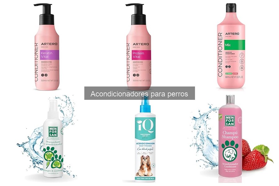 ¿Qué es un acondicionador para perros? Beneficios y usos