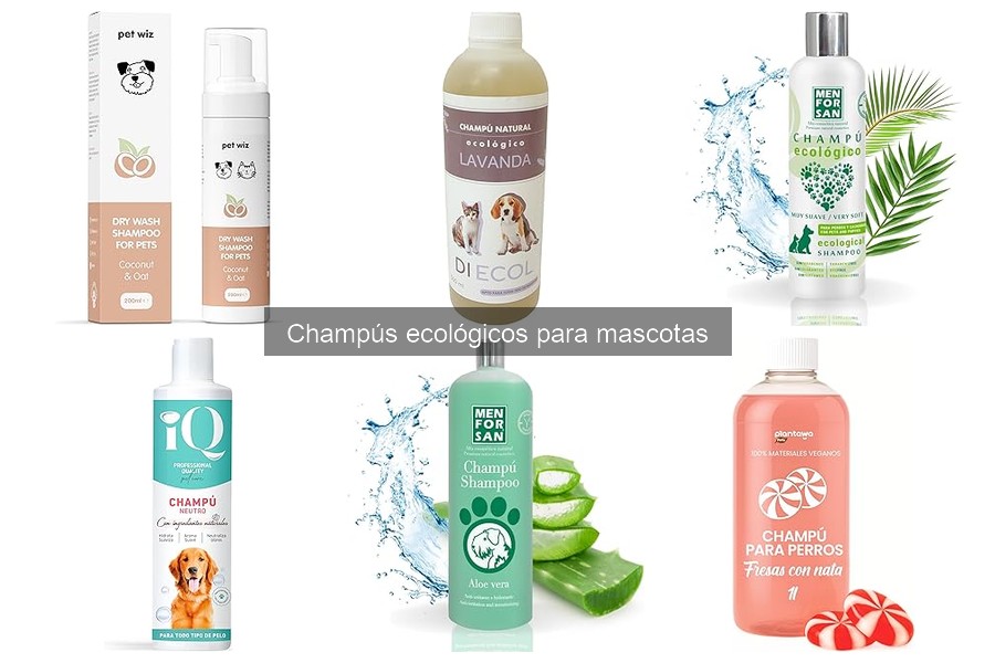 ¿Qué es un champú ecológico para mascotas? Beneficios y más