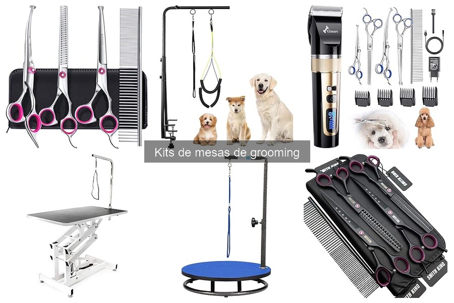 ¿Qué es un kit de mesa de grooming para mascotas?