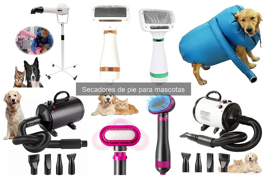 ¿Qué es un secador de pie para mascotas? Descúbrelo aquí