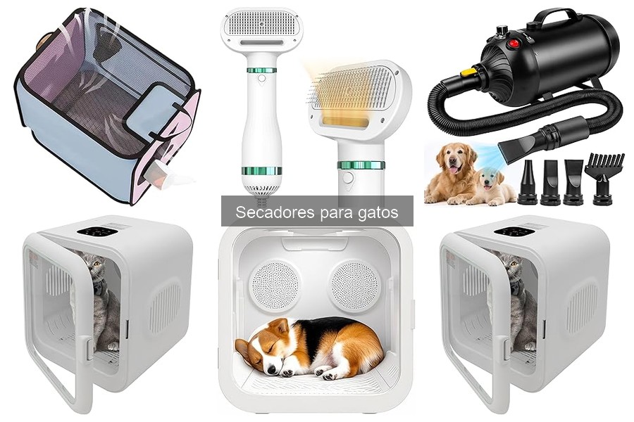 ¿Qué es un secador para gatos? Función y características