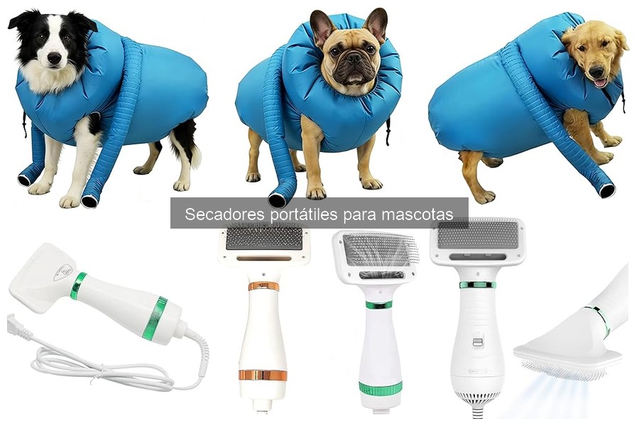 ¿Qué es un secador portátil para mascotas? Guía completa