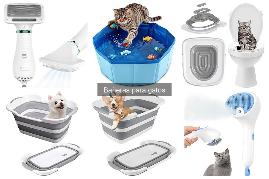 ¿Qué es una bañera para gatos? Características y funciones