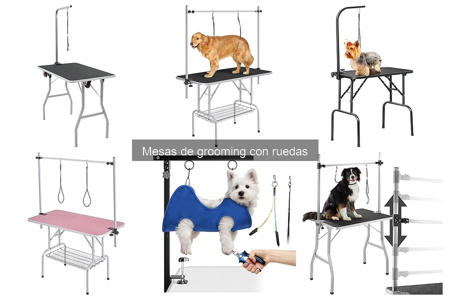 ¿Qué es una mesa de grooming con ruedas? Características y usos