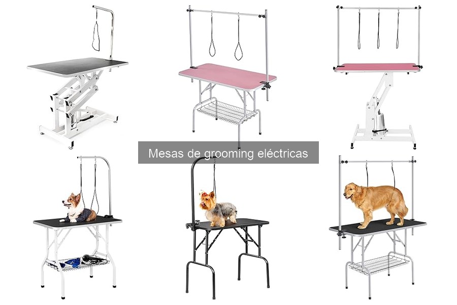 ¿Qué es una mesa de grooming eléctrica? Beneficios y características
