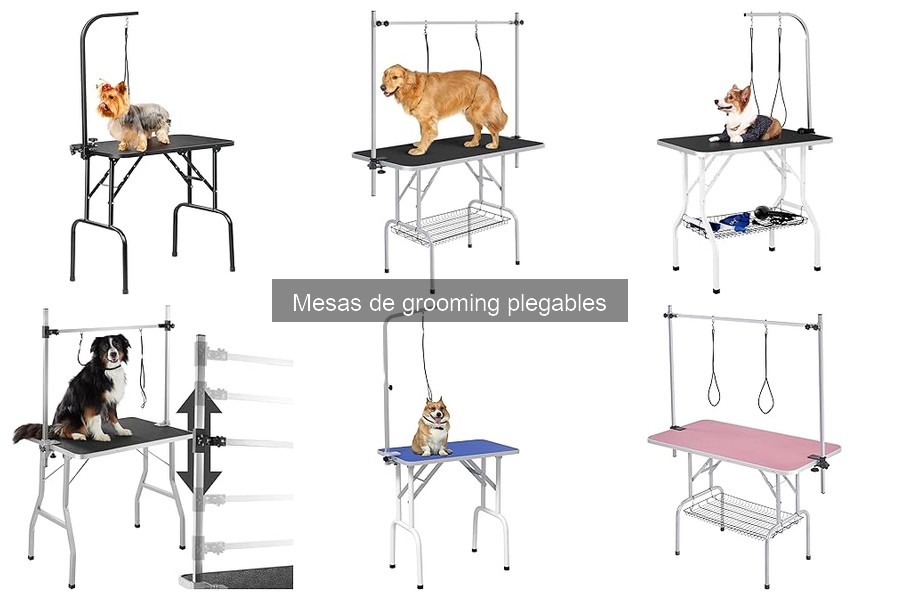 ¿Qué es una mesa de grooming plegable? Beneficios y características