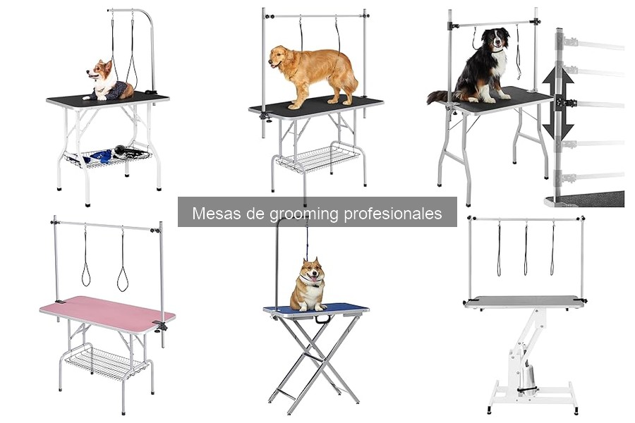 ¿Qué es una mesa de grooming profesional para mascotas?