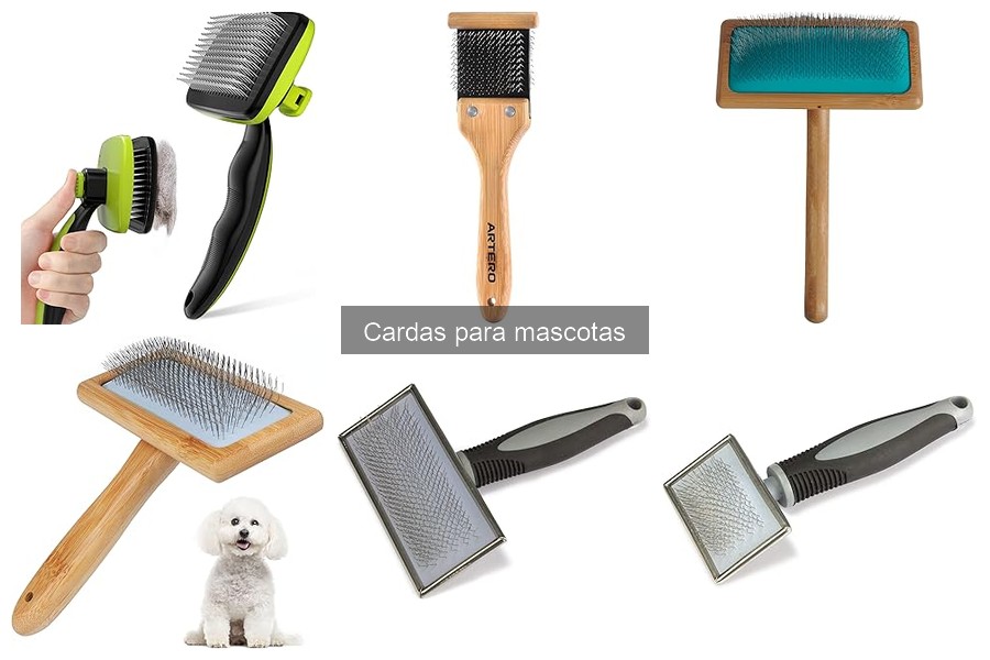 ¿Qué son las cardas para mascotas? Guía completa