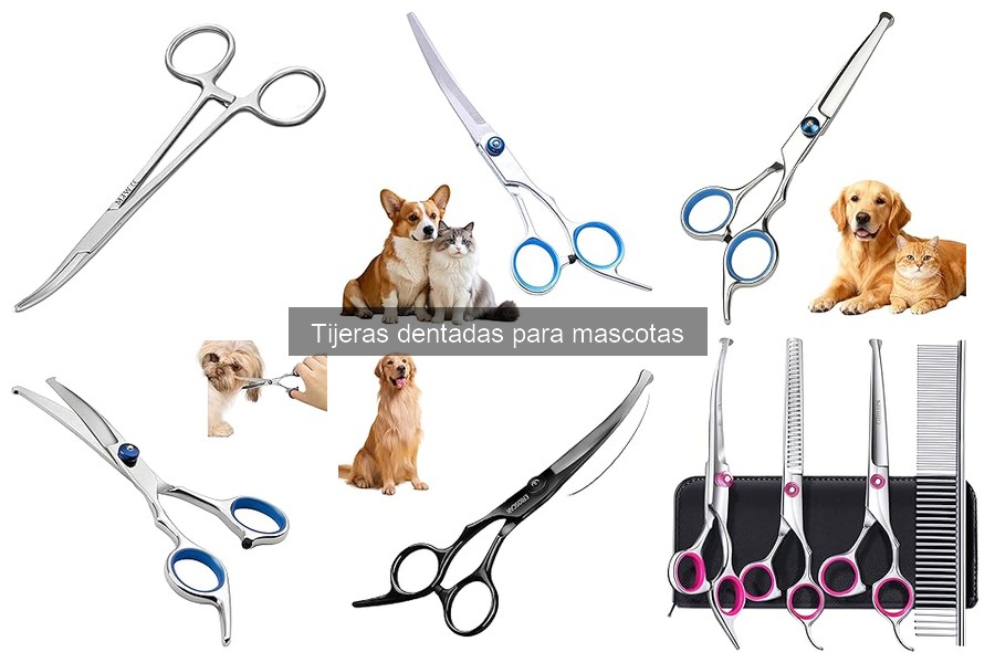 ¿Qué son las tijeras dentadas para mascotas? Conoce sus beneficios