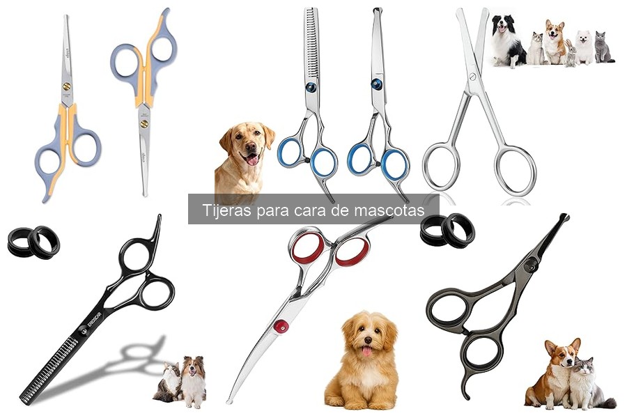 ¿Qué son las tijeras para cara de mascotas? Guía rápida
