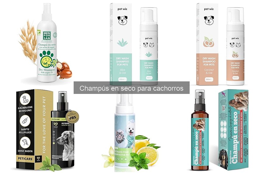 ¿Qué son los champús en seco para cachorros? Guía rápida