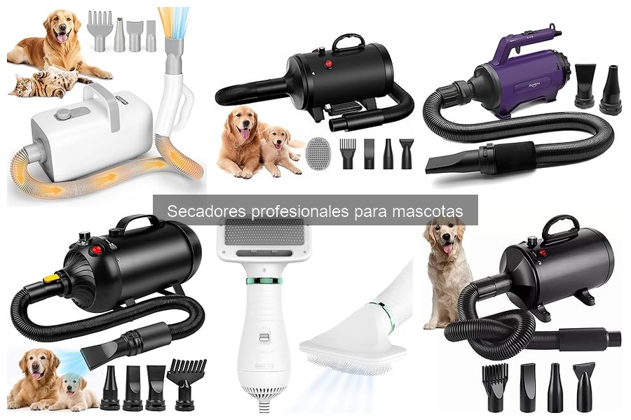 ¿Qué son los secadores profesionales para mascotas?