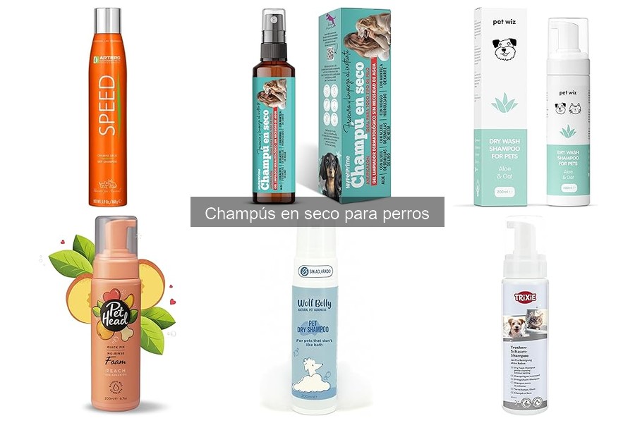 ¿Qué tamaño de champú en seco necesito para mi perro grande?