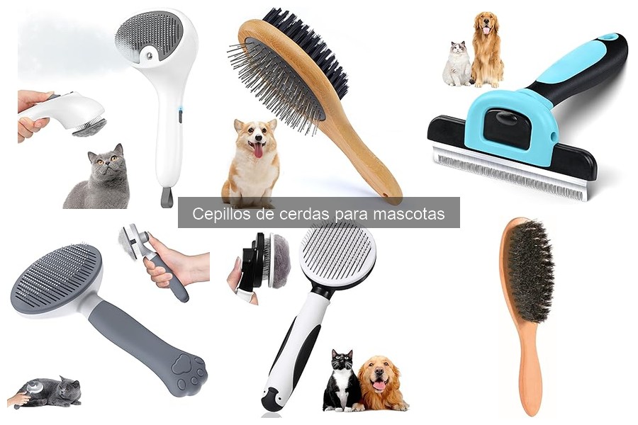 Reseñas de los Mejores Cepillos de Cerdas para Mascotas