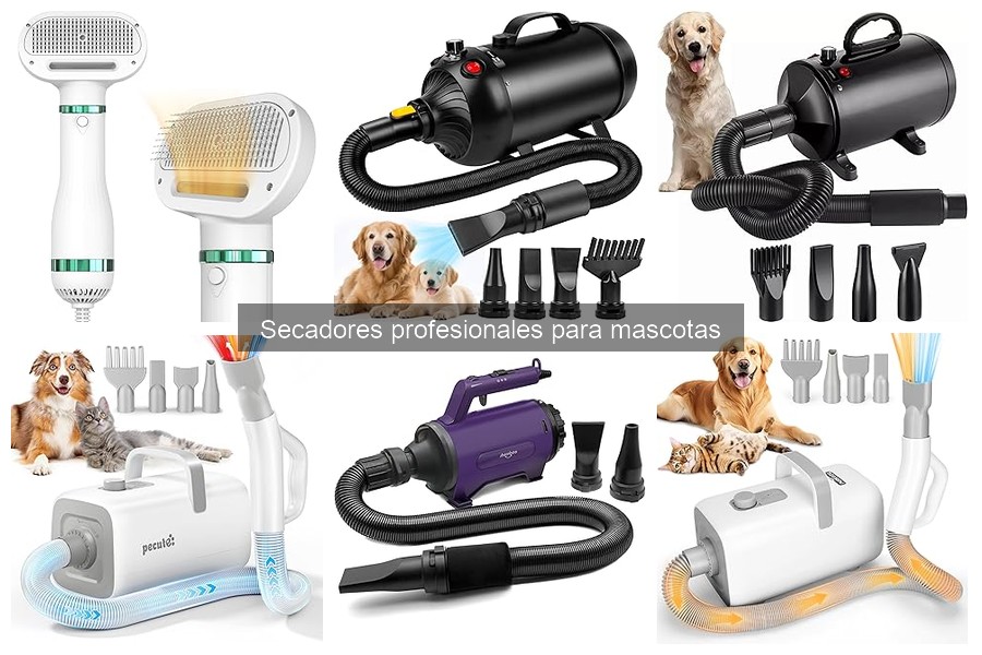 Reseñas de Secadores Profesionales para Mascotas: Opiniones